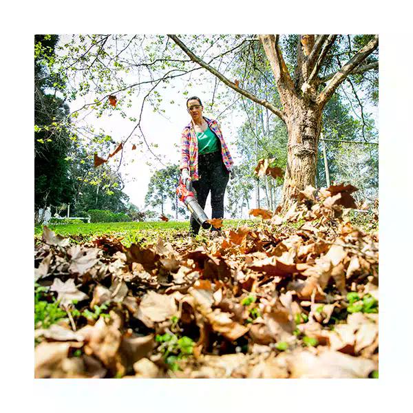 Soplador Inalámbrico 18V