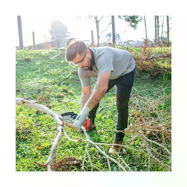 Mini sierra de poda 4"18V Inalámbrica