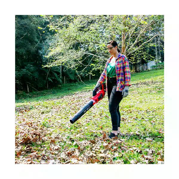 Soplador Inalámbrico 18V