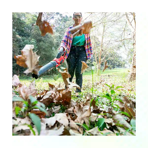 Soplador Inalámbrico 18V