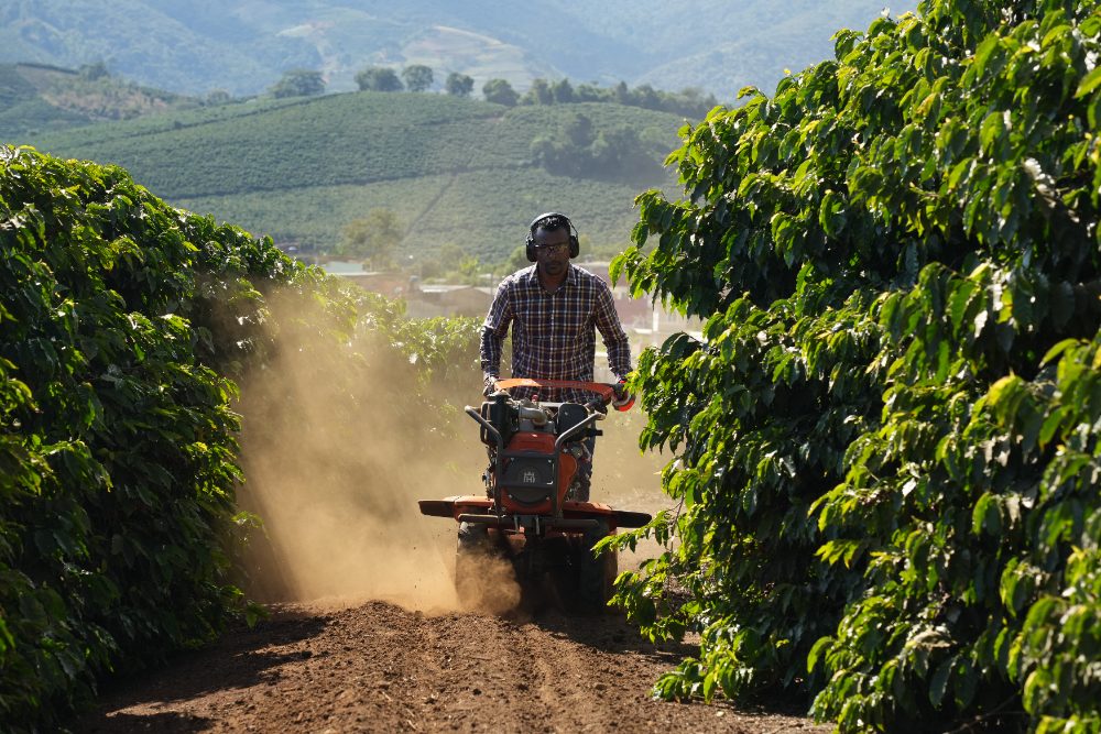 Trabajar el campo